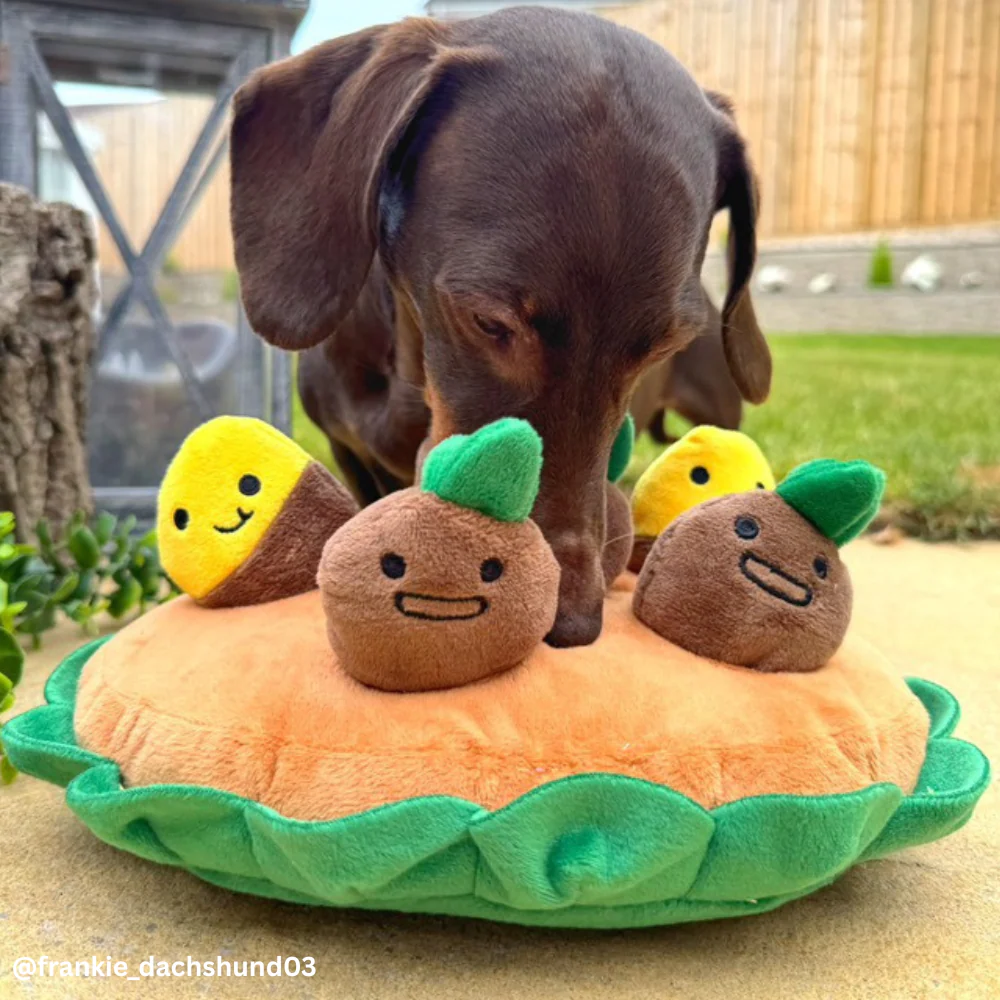 Potato Snuffle Mat