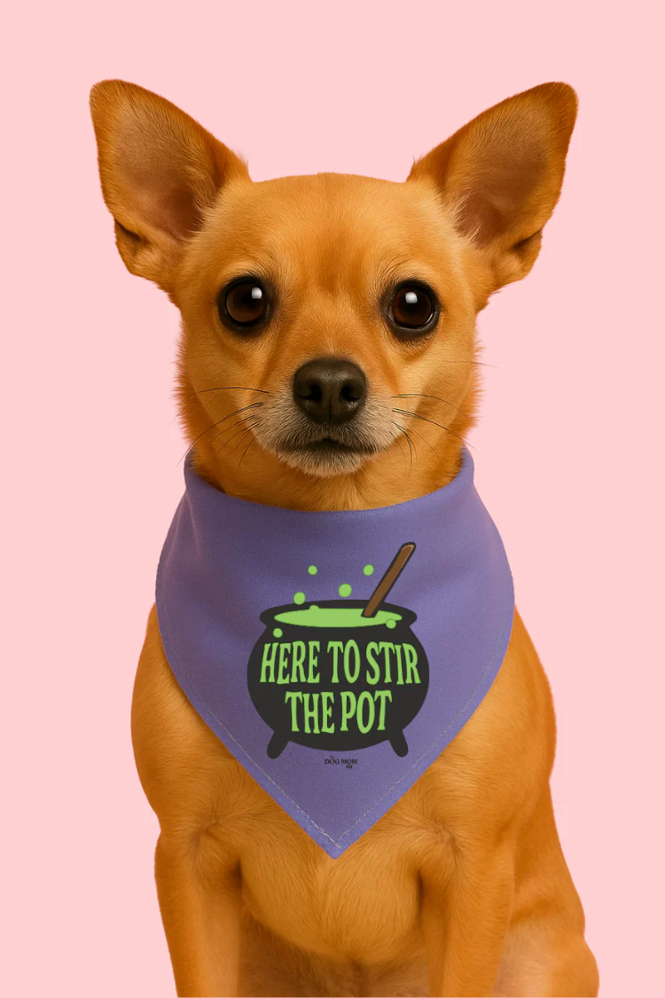 Here To Stir The Pot Dog Bandana