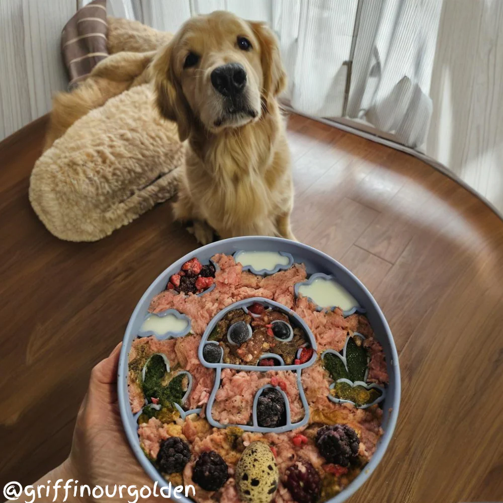 Mushroom Enrichment Bowl