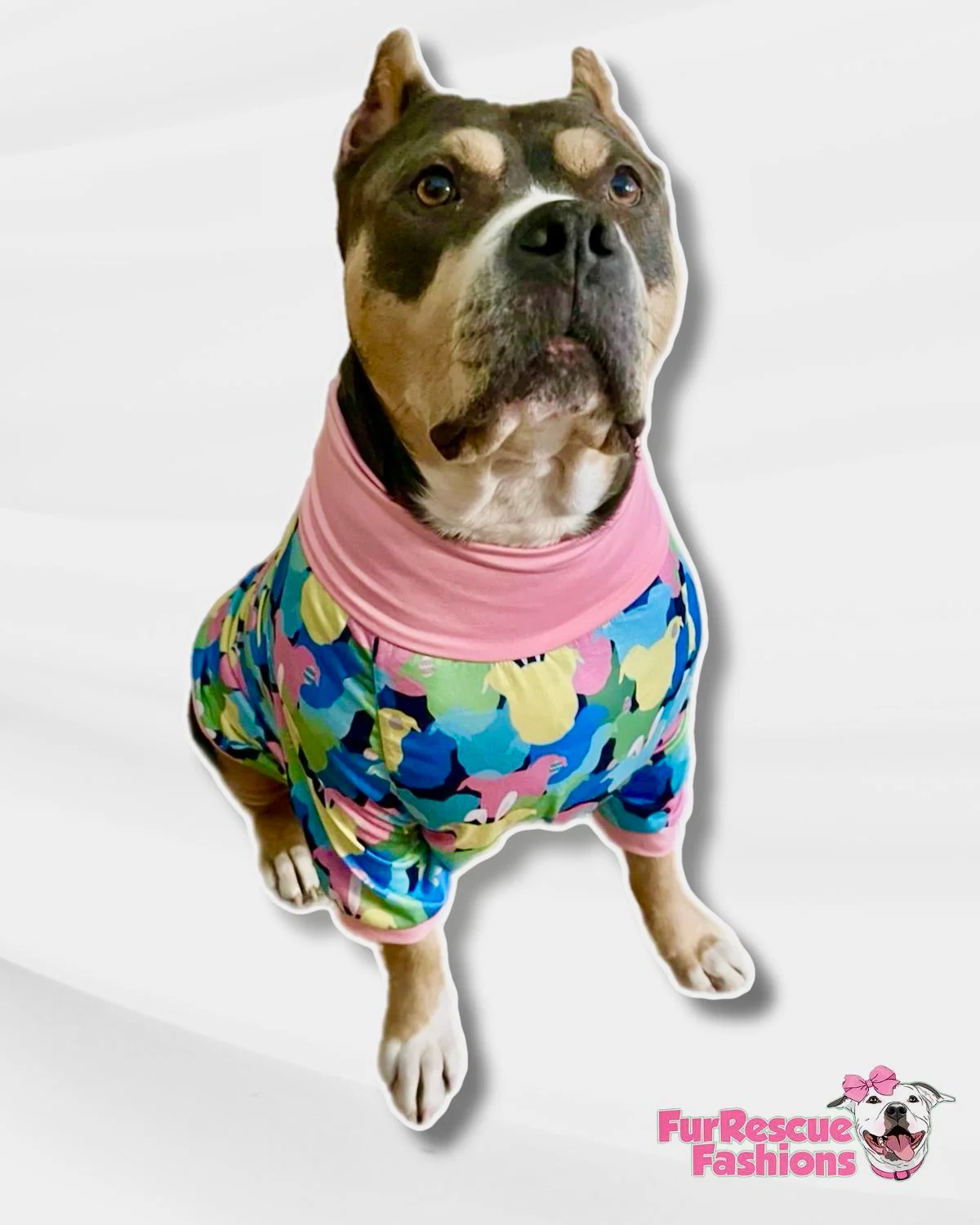 Hippittie Hoppittie - PAWjama with Pink or Aqua Neck & Trim/Sleeves