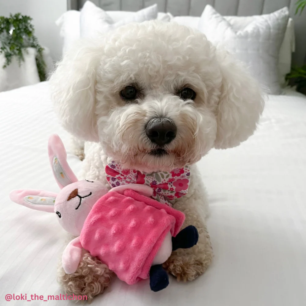 Foldable Hiding Food Toy