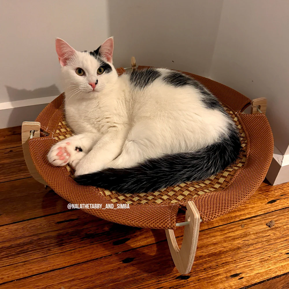 Summer Hammock Rattan