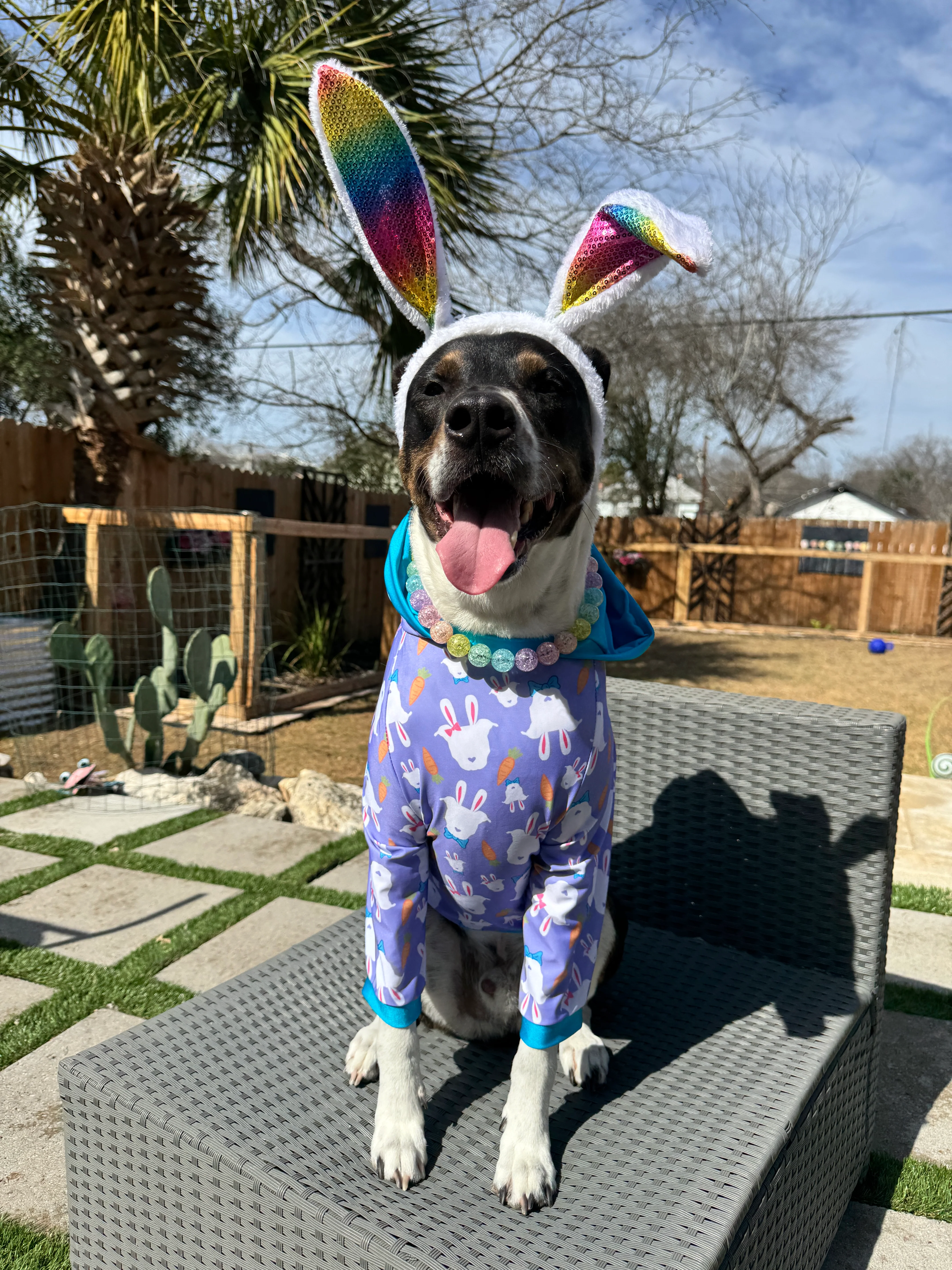 Pittie Bunny - Dog Pajama with Hot Pink OR Aqua Neck & Trim/Sleeves