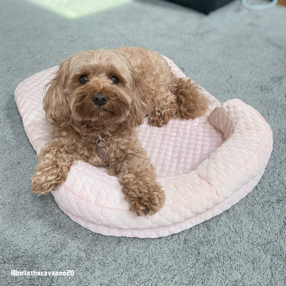 Cooling Bed with Pillow
