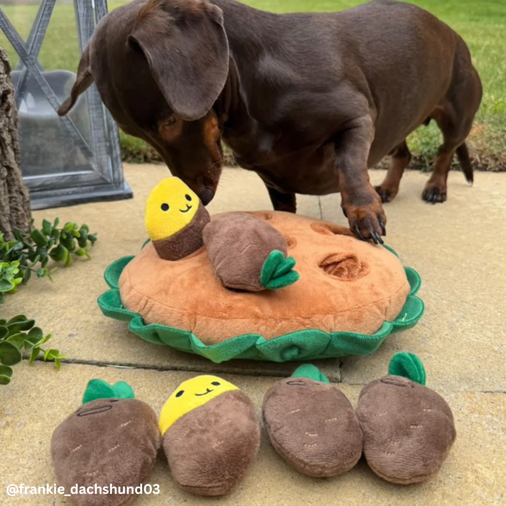 Potato Snuffle Mat