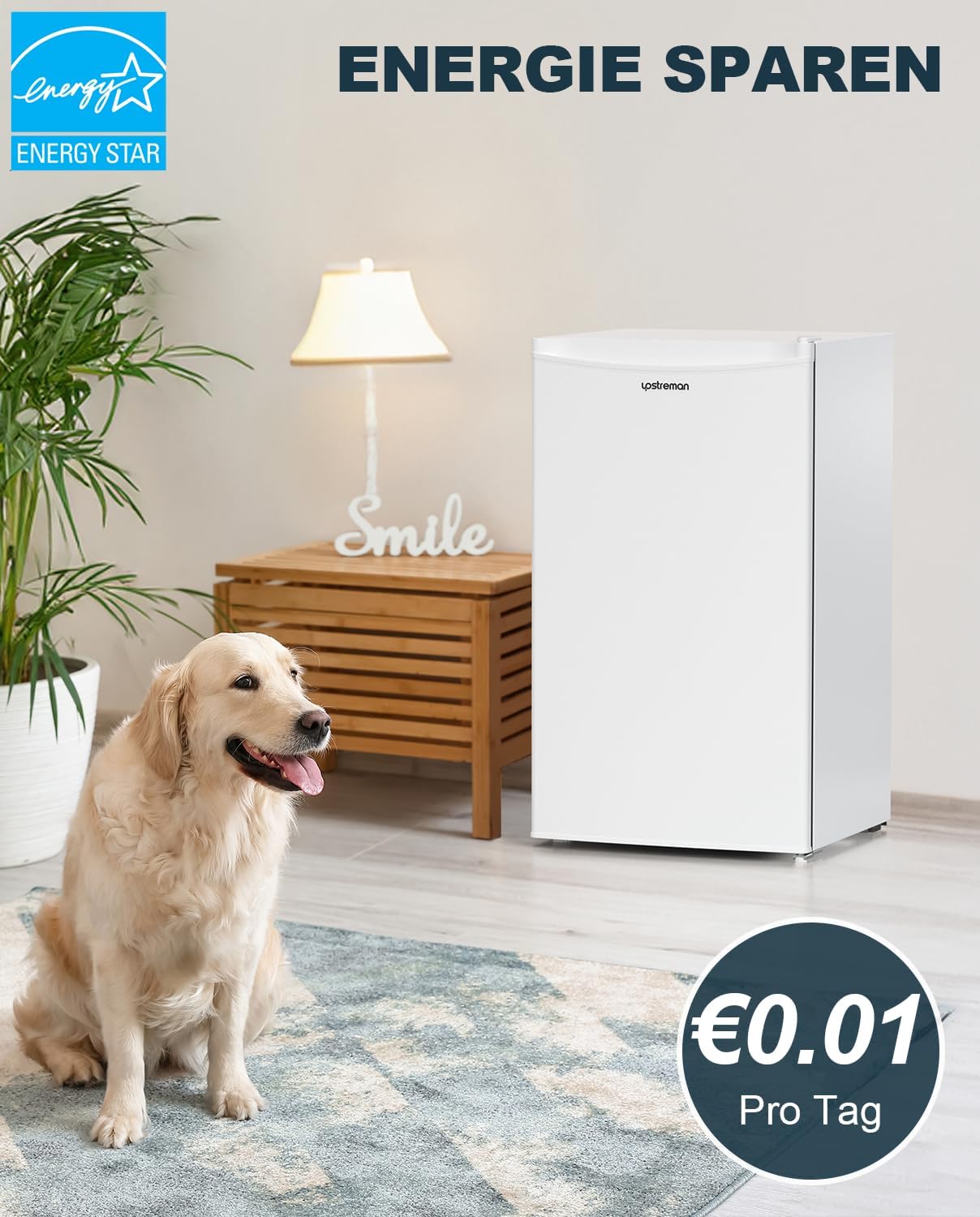 Upstreman 91L Kühlschrank mit Gefrierfach,Kleiner Kühlschrank mit Gemüsefach und Gefrierfach, Einstellbarem Thermostat, Mini-Kühlschrank für Wohnheim, Büro, Schlafzimmer, Weiß-BR321