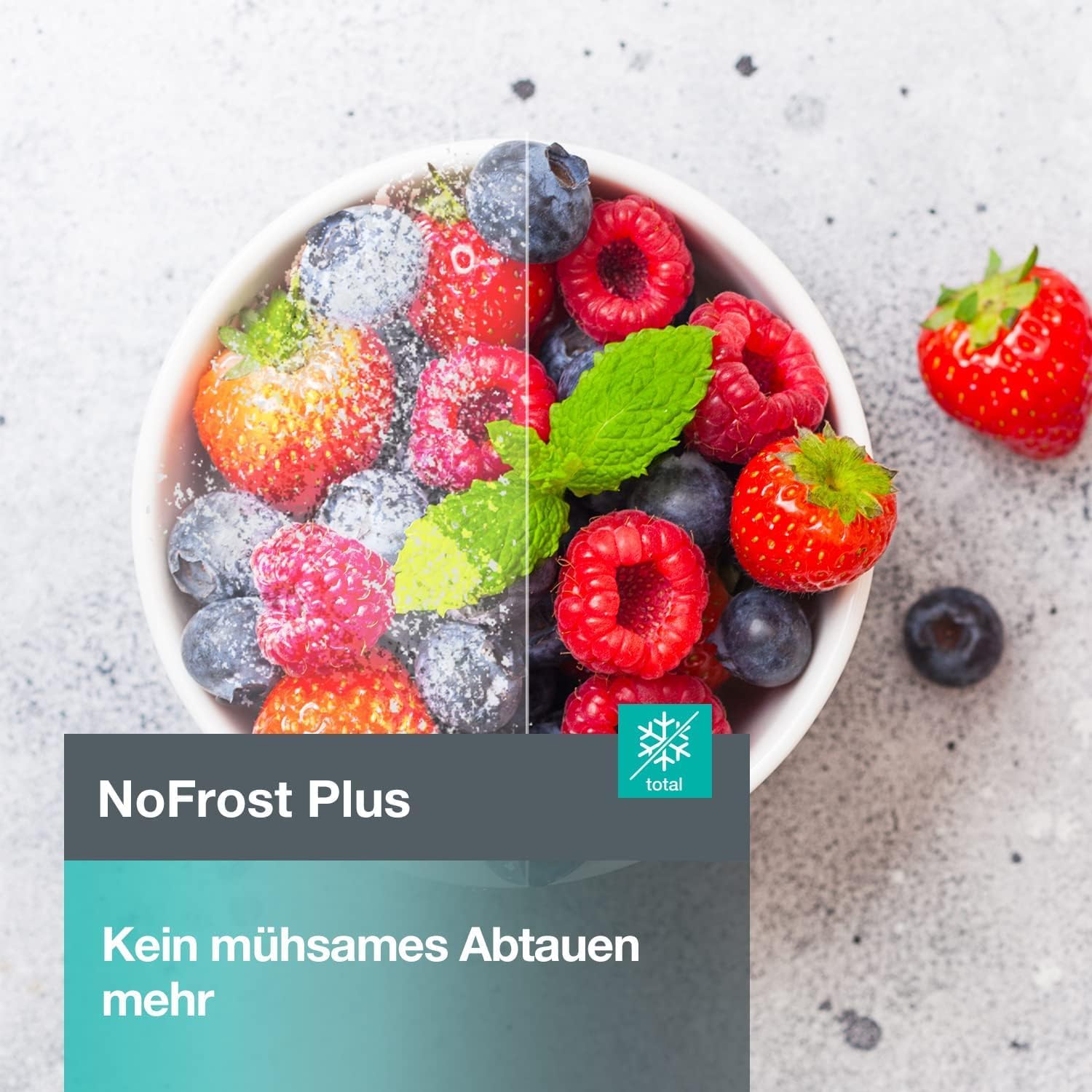 Gorenje N 619EAXL4 Kühl-Gefrier-Kombination/ LED Display/ 186 cm/ 300 l/ NoFrostPLus/ Gemüsefach mit Feuchteregler/ FastFreeze/ edelstahl