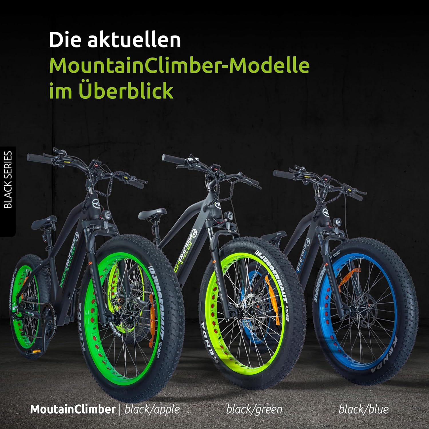 Highphoria Elektrofahrrad Erwachsene, 250W 25 km/h E-Bike mit Batterie, Starker Motor, Kettenschaltung, E-Mountainbike mit Hydraulische Federgabel Pedelec für Damen & Herren