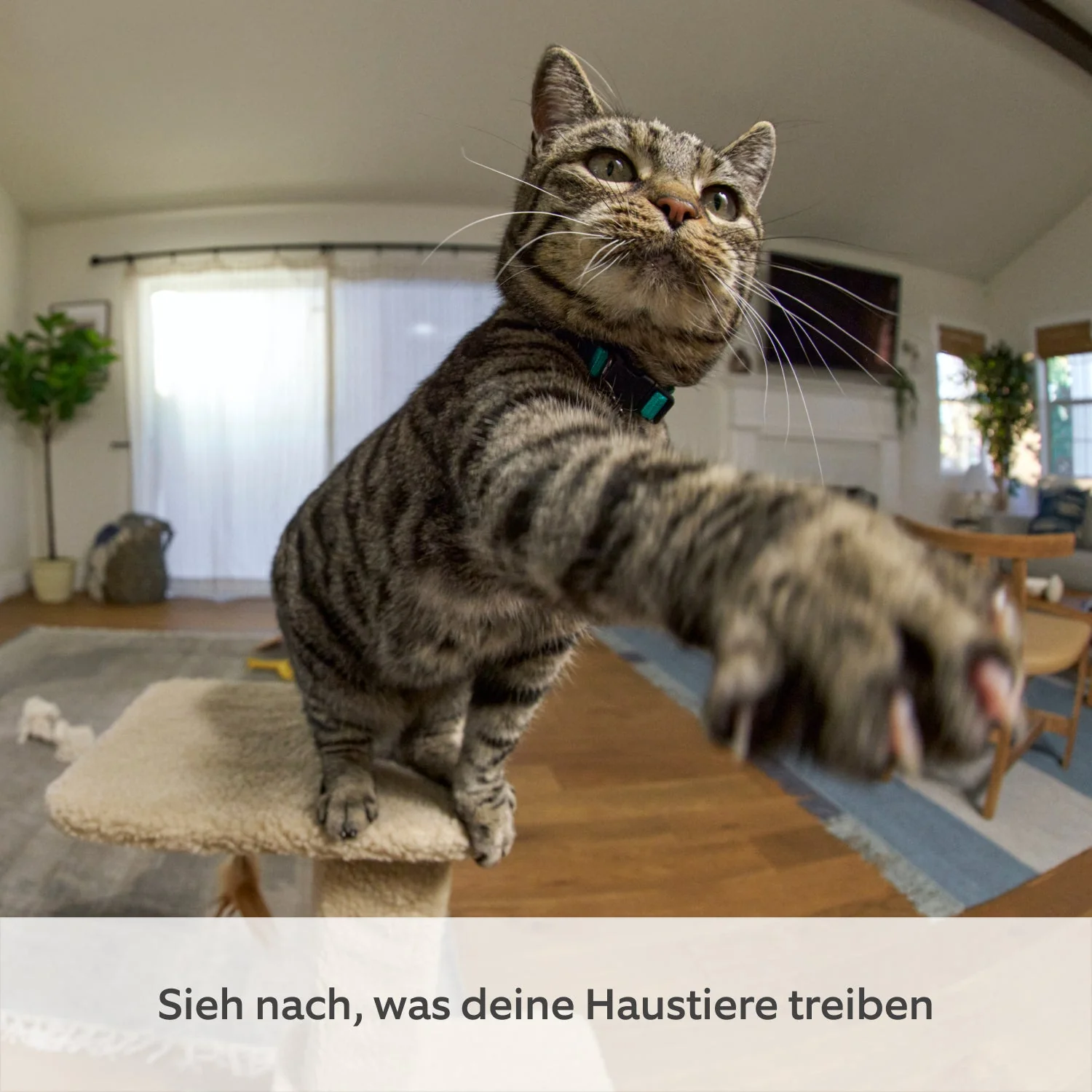 2er-Set Bewegliche Innenkamera (Pan-Tilt Indoor Camera)