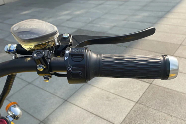 Elektro-Chopper Mangosteen M1 in Mattgrün – 2000W Hochleistungsmotor und Stilvoll