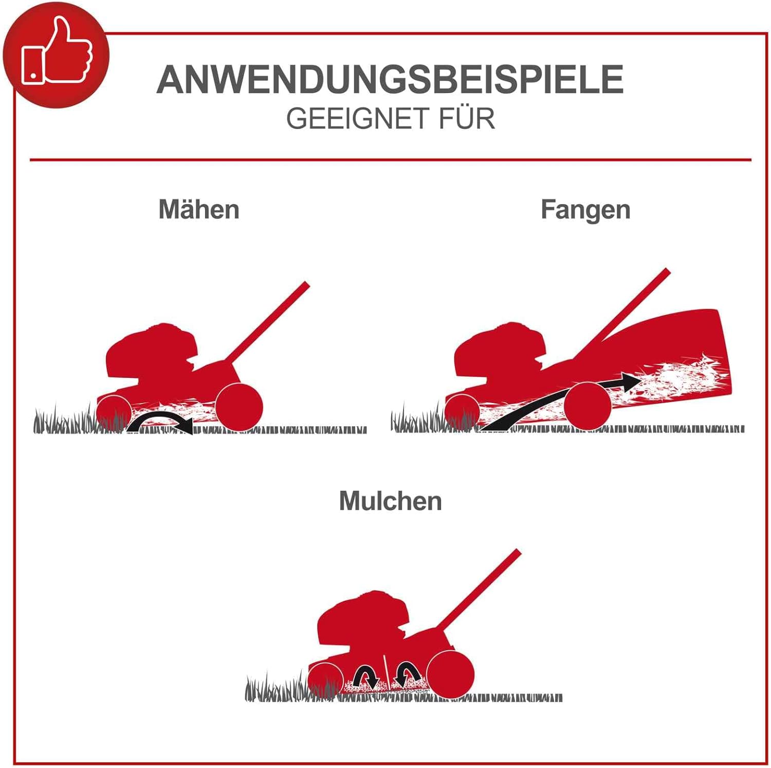 Scheppach MS161-46 Benzin Rasenmäher - 46 cm Schnittbreite | 55 Liter Fangkorb | Stahlgehäuse | 7-stufige Höhenverstellung | Mulchfunktion | Radantrieb | Seitenauswurf | inkl. Motoröl