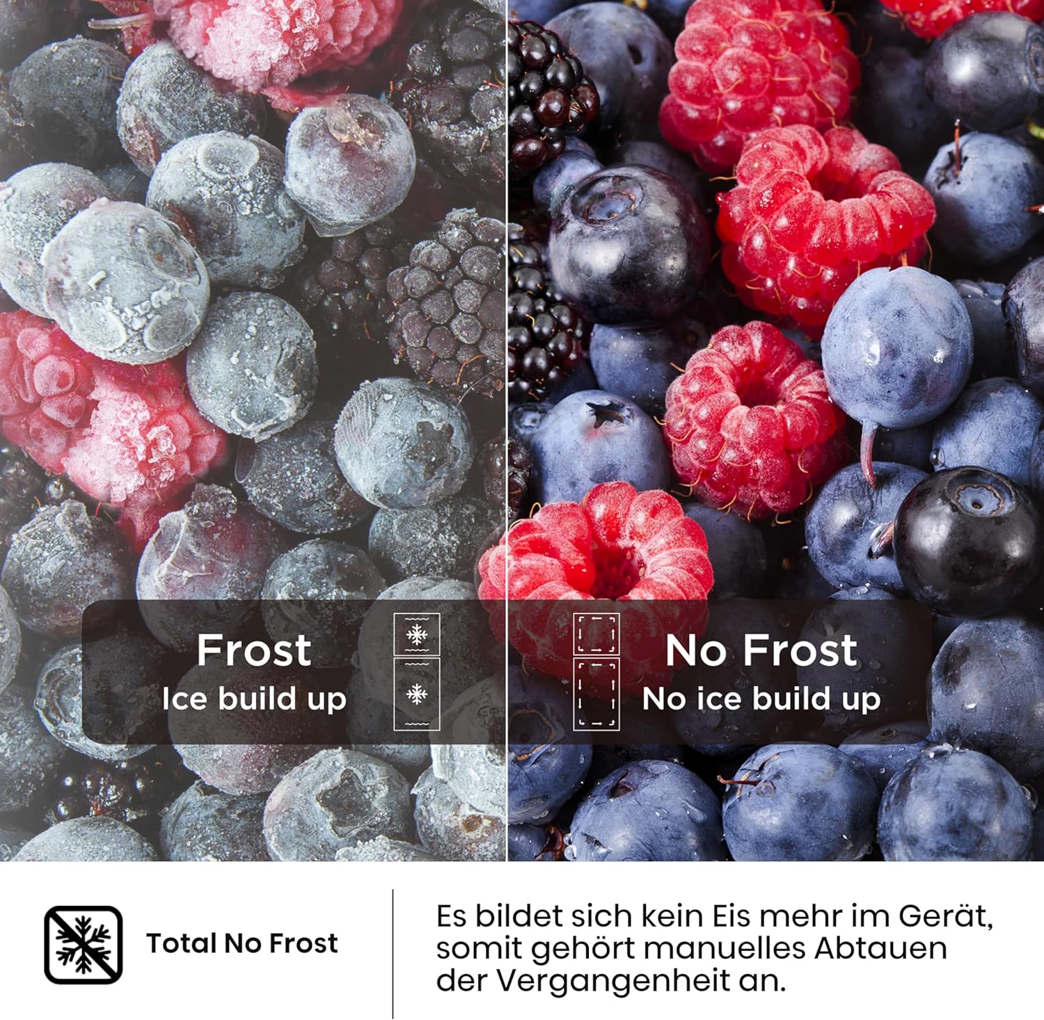 Hisense RB327N4ADD Fridge-Freezer Combination, EEK D, Total NoFrost, Interchangeable Door Hinge, Bottle Grid, 171 Litre Fridge Compartment, 85 Litre Freezer Compartment, Stainless Steel Look