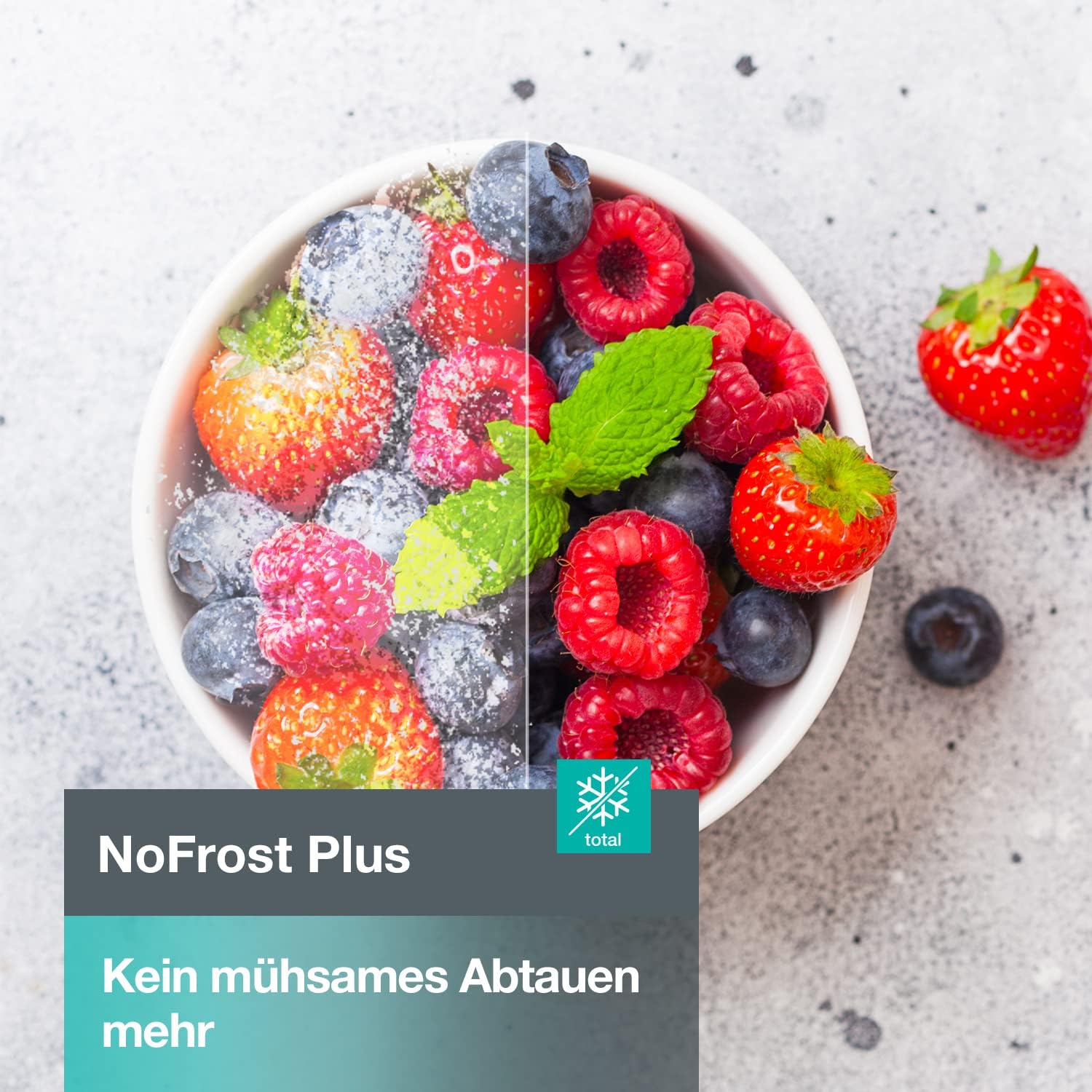 Gorenje N 619EAXL4 Kühl-Gefrier-Kombination/ LED Display/ 186 cm/ 300 l/ NoFrostPLus/ Gemüsefach mit Feuchteregler/ FastFreeze/ edelstahl