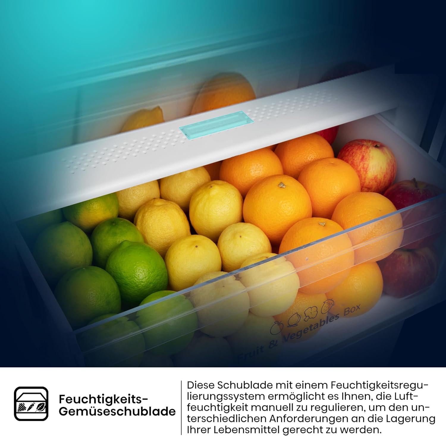 Hisense RB327N4ADD Fridge-Freezer Combination, EEK D, Total NoFrost, Interchangeable Door Hinge, Bottle Grid, 171 Litre Fridge Compartment, 85 Litre Freezer Compartment, Stainless Steel Look