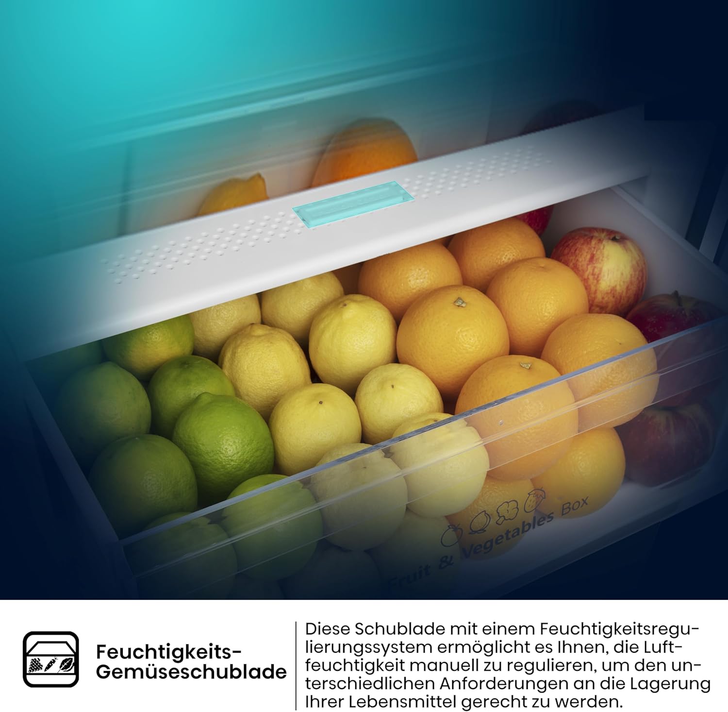 Hisense RB327N4ADD Fridge-Freezer Combination, EEK D, Total NoFrost, Interchangeable Door Hinge, Bottle Grid, 171 Litre Fridge Compartment, 85 Litre Freezer Compartment, Stainless Steel Look