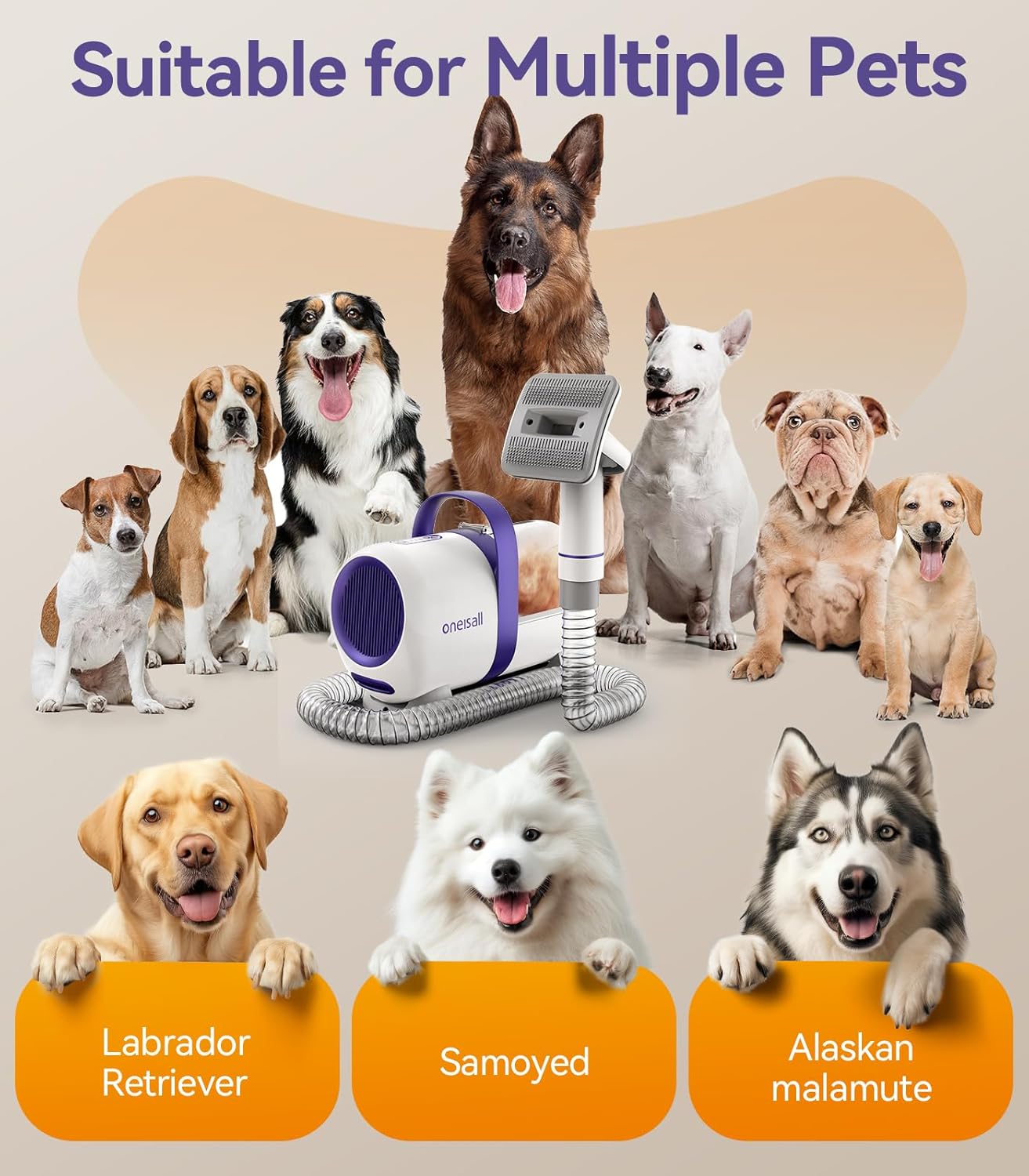 oneisall Hundestaubsauger mit Bürste, Super Saugkraft mit 12000Pa, Tierhaar staubsauger von der Bürste mit Einem Knopf, Tierhaarentferner mit 4 Pflegewerkzeugen