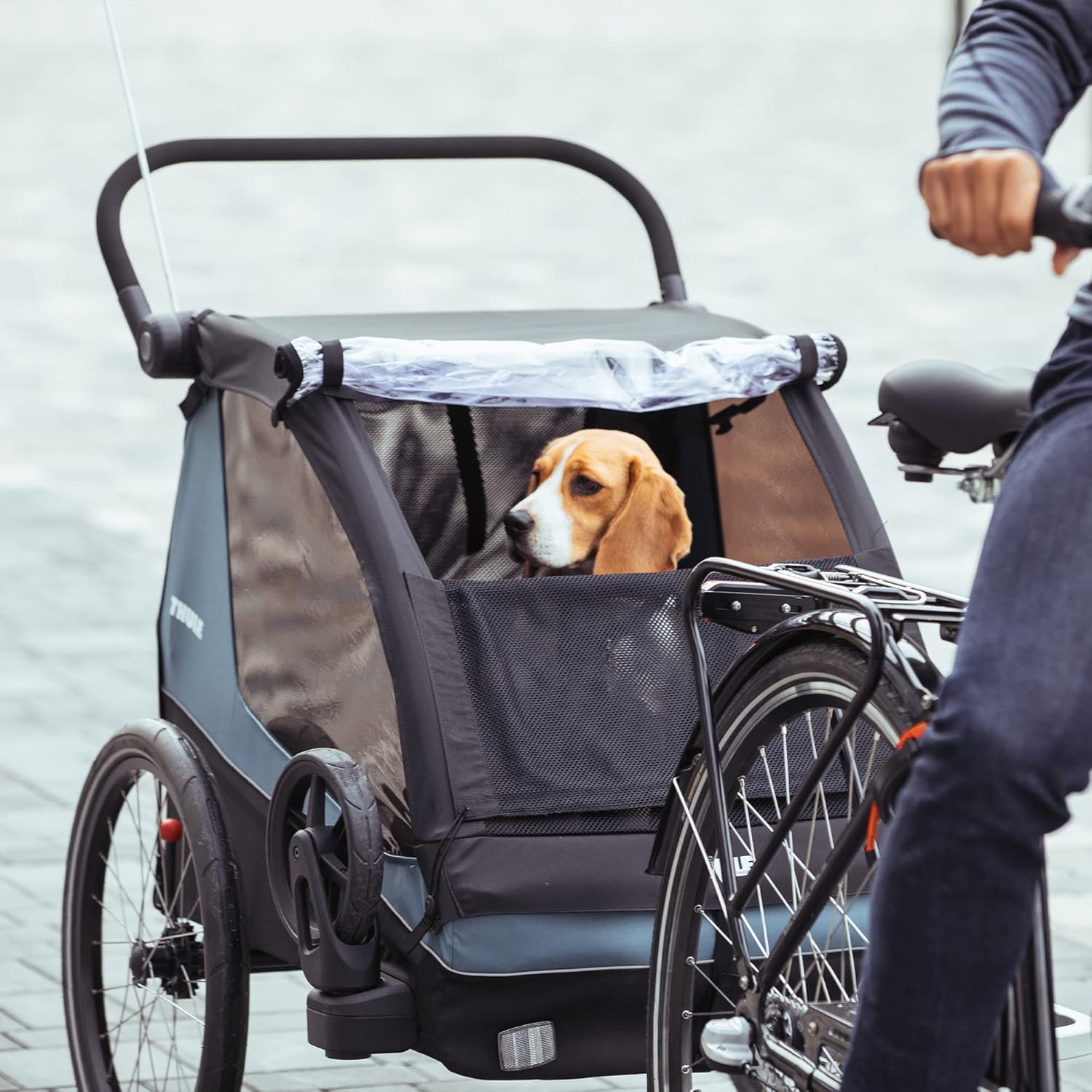 Thule Courier Fahrradanhänger Hunde, Fahrradanhänger für 2 Kinder Aegean Blue One-Size