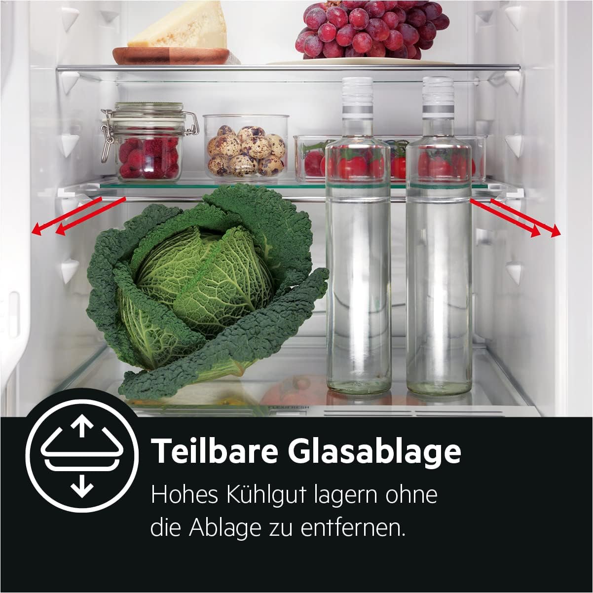 AEG TSK5O881ES Built-In Fridge / 880 mm / 142 L/Tow Door/E