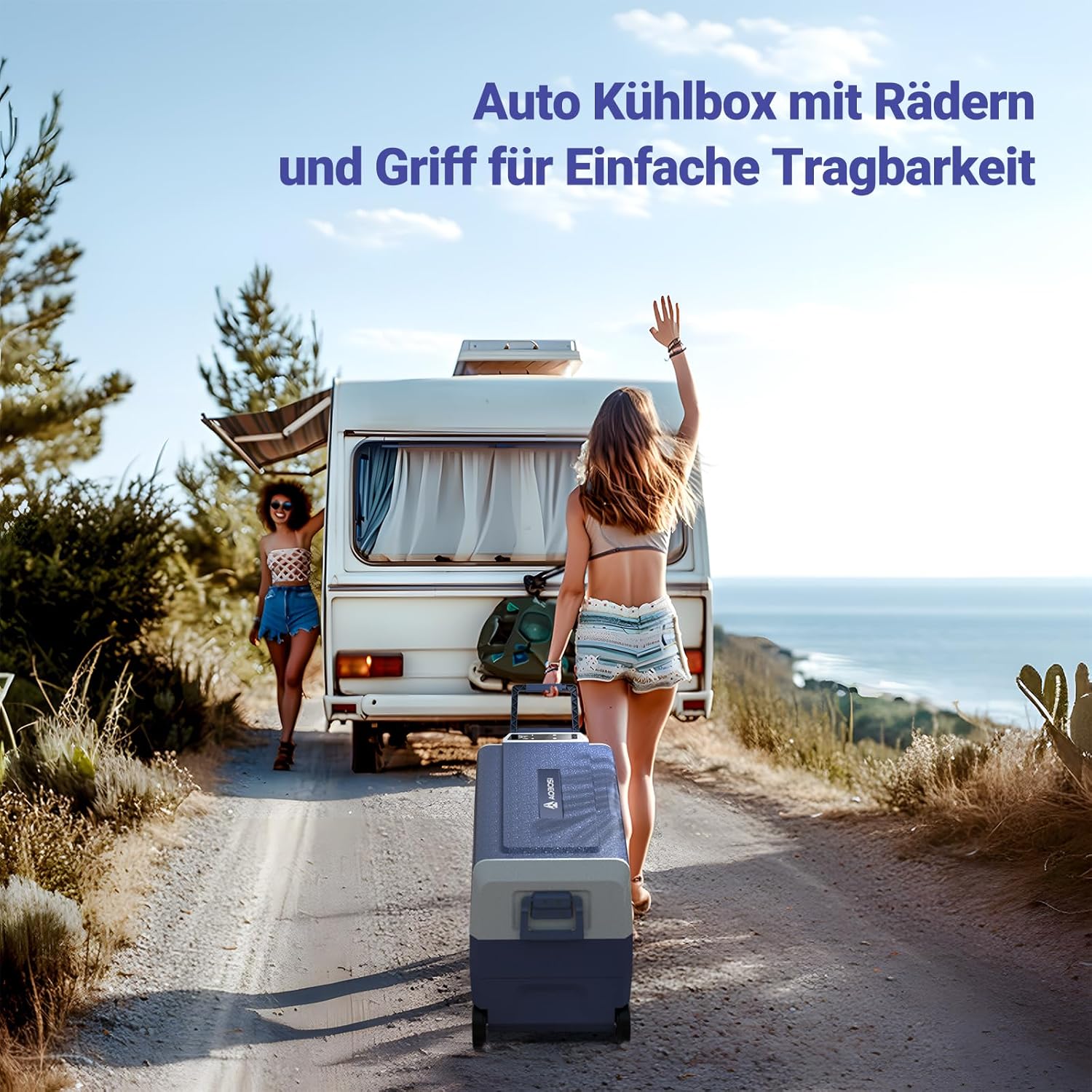 AAOBOSI Compressor Cool Box 36 L, Cool Box Car with WiFi App Control, 12/24 V and 100-240 V Electric Cool Box, up to -20 °C for Car, Truck, Boat, Motorhome, Camping, Double Zone