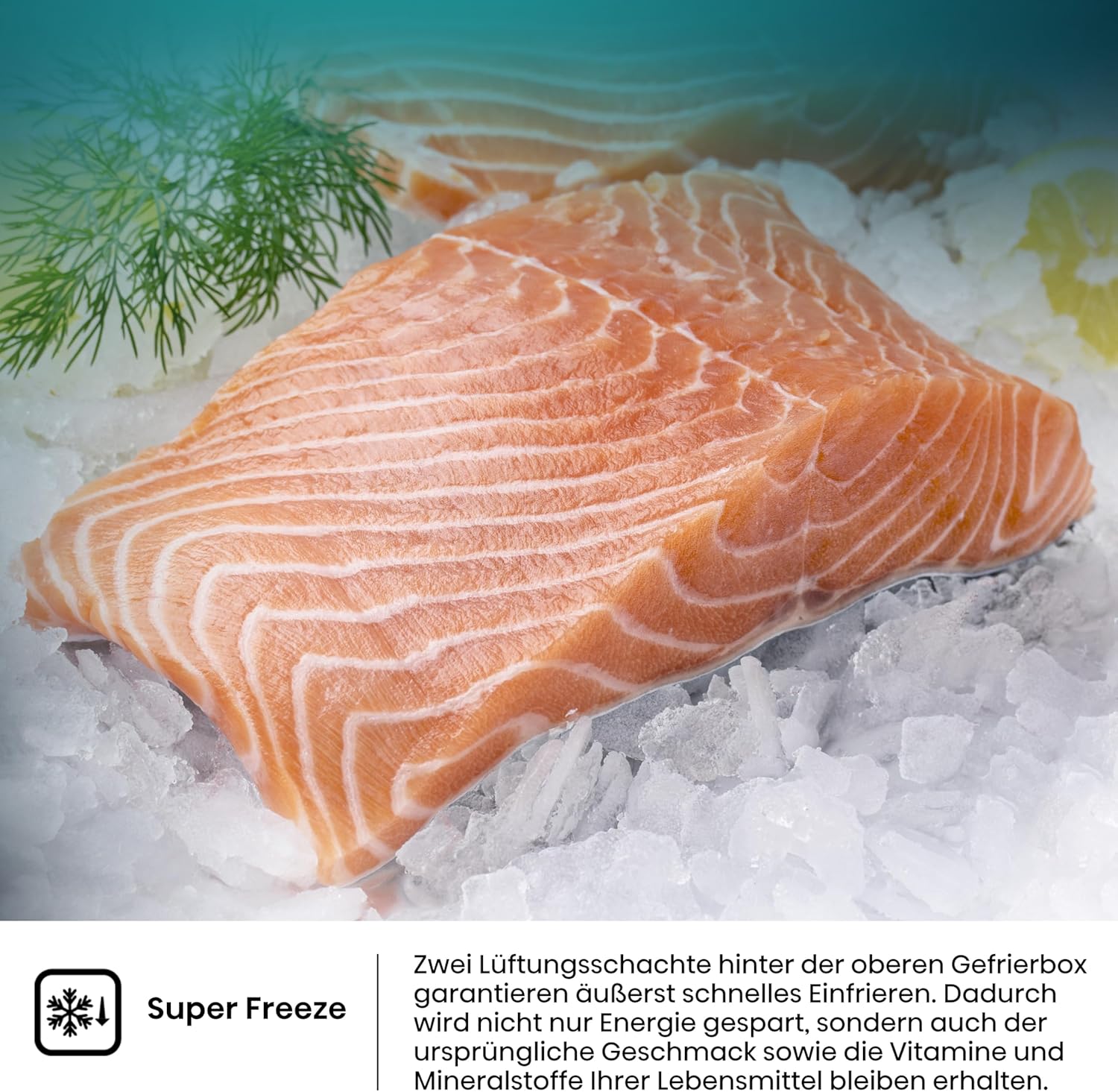 Hisense RB327N4AD2 Kühl-Gefrierkombination/ NoFrostPlus/ Multiflow 360°/ HolidayMode/ FreshZone/ 182,4 cm/ Kühlteil 171 l/ Gefrierteil 85 l/ 41 dB/ 287 kWh/ Jahr/ Edelstahl-Look