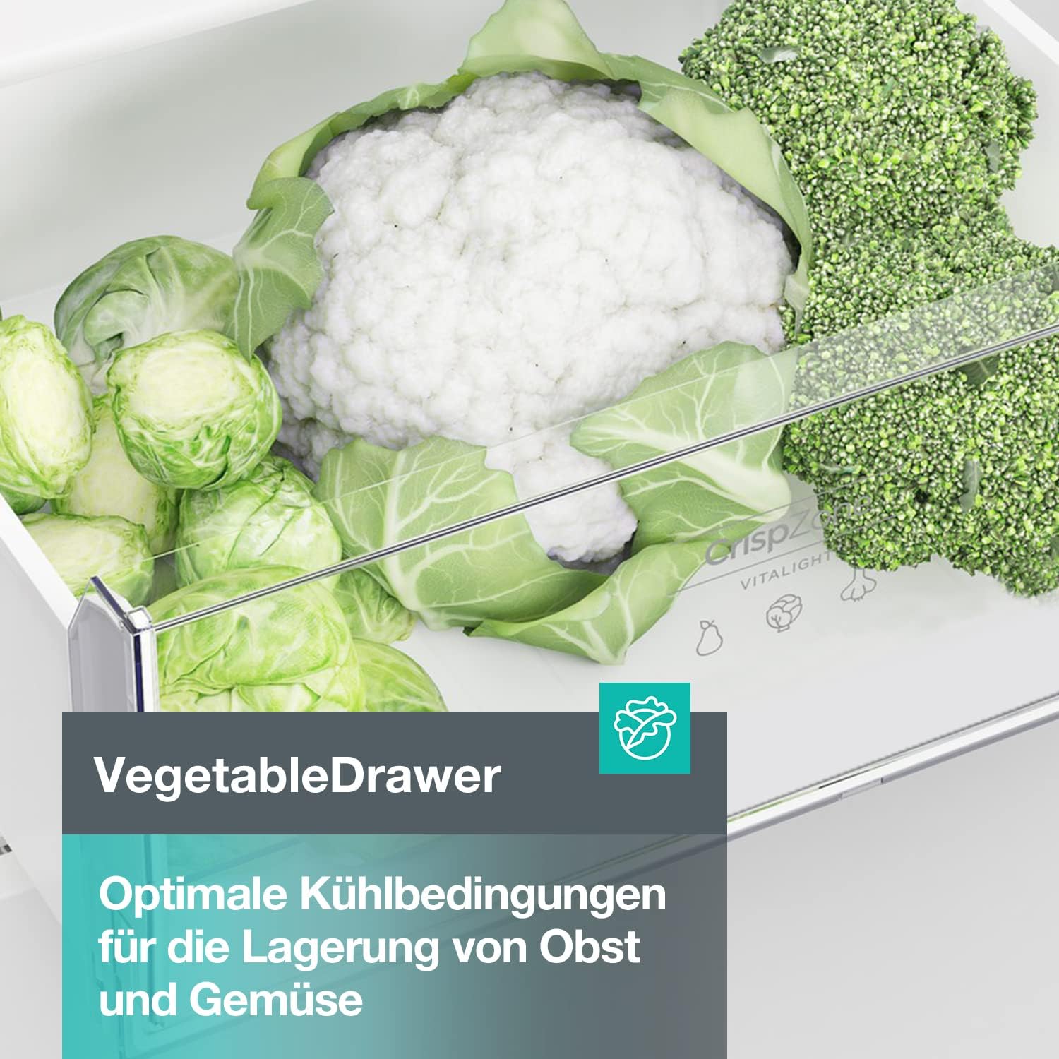 Gorenje N 619EAXL4 Kühl-Gefrier-Kombination/ LED Display/ 186 cm/ 300 l/ NoFrostPLus/ Gemüsefach mit Feuchteregler/ FastFreeze/ edelstahl