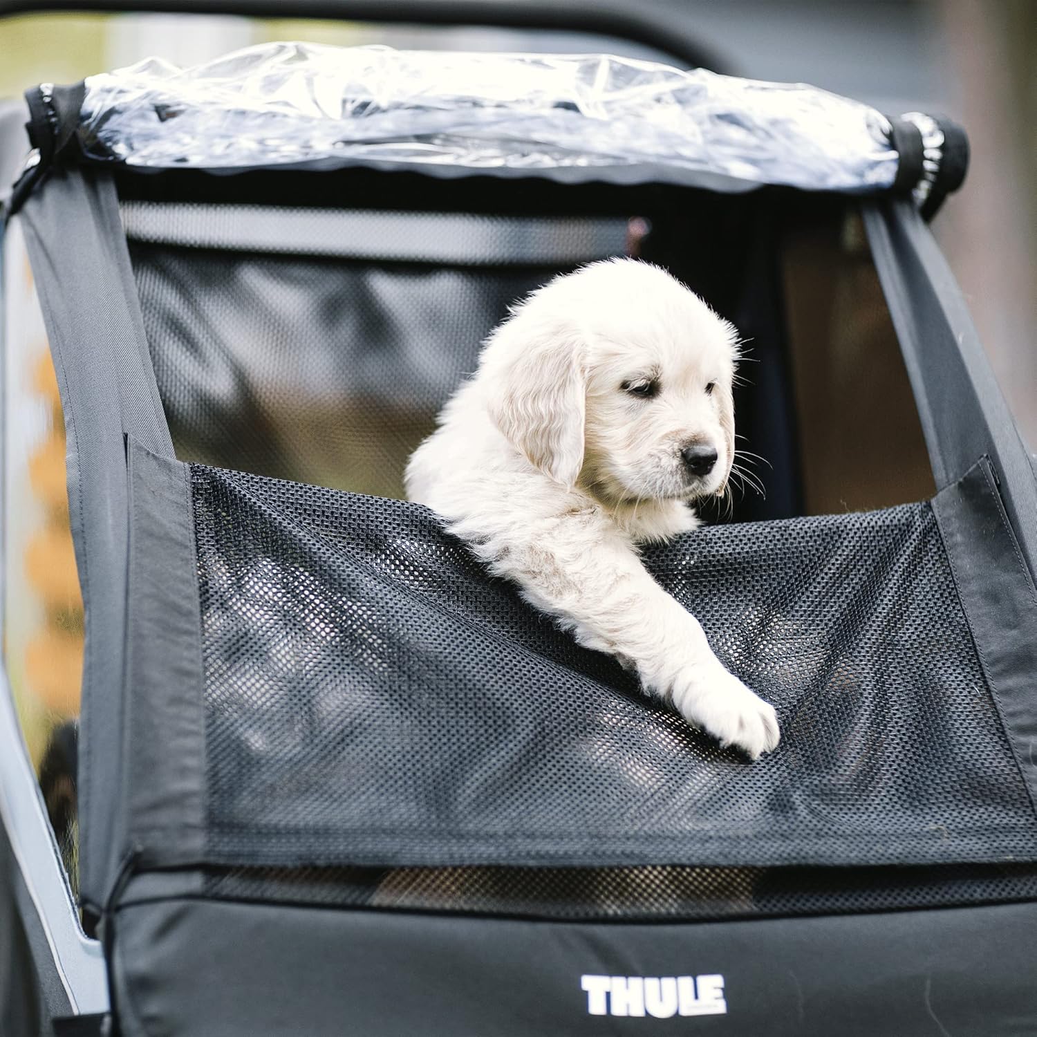 Thule Courier Fahrradanhänger Hunde, Fahrradanhänger für 2 Kinder Aegean Blue One-Size