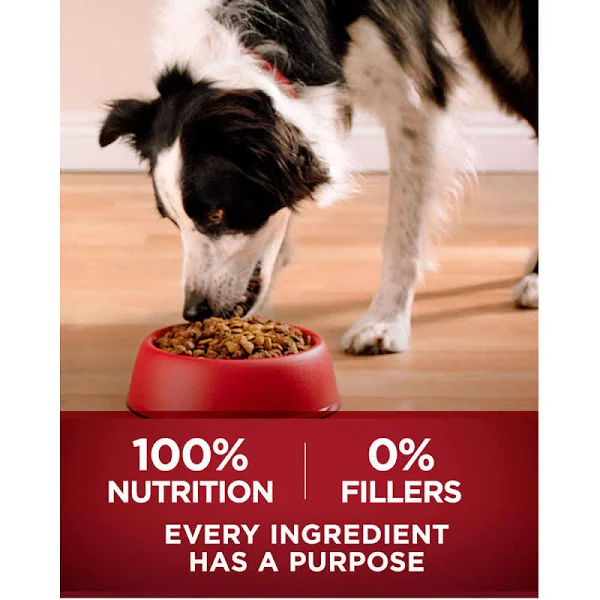 Purina One Smartblend Dog Food, Adult - 36 lb