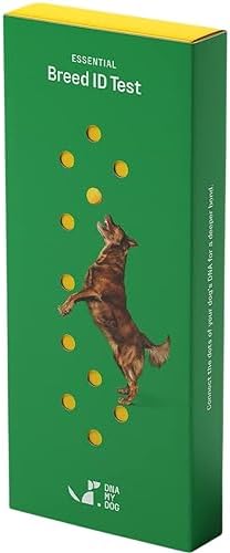 2024 Dna My Dog Essential Test – Breed ID Test Mixed Breed Identification  Personality Traits  for Puppies to Adult Dogs  Non-Invasive Cheek Swab