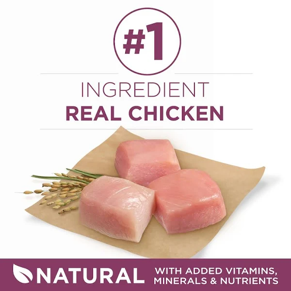 Purina One Plus Food for Puppies, Healthy Puppy Formula - 31.1 lb