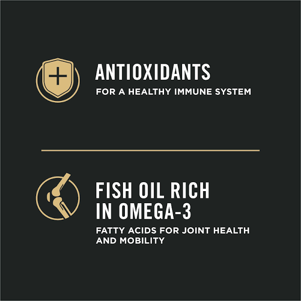 Purina Pro Plan Focus Sensitive Skin & Stomach Salmon & Rice Formula Adult Dry Dog Food - 16 lbs bag