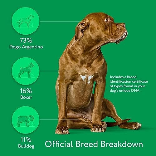 2024 Dna My Dog Essential Test – Breed ID Test Mixed Breed Identification  Personality Traits  for Puppies to Adult Dogs  Non-Invasive Cheek Swab