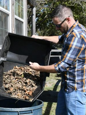 2024 Pellon Natural Cotton Batting, off-White 96 x 9 Yards by the Bolt