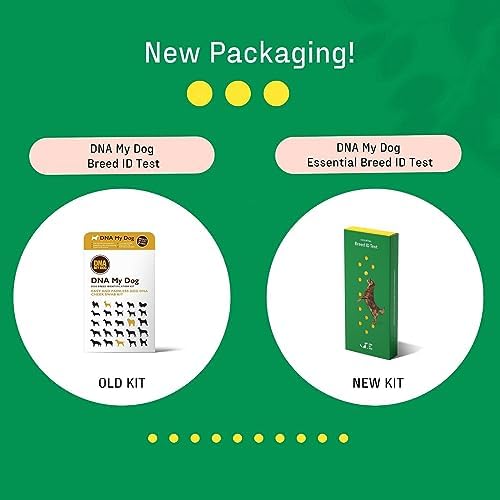 2024 Dna My Dog Essential Test – Breed ID Test Mixed Breed Identification  Personality Traits  for Puppies to Adult Dogs  Non-Invasive Cheek Swab