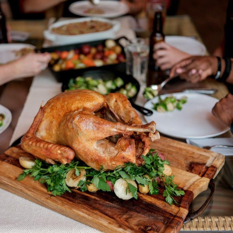 2024 Masterbuilt 10 Liter XL Electric Fryer, Boiler, Steamer in Silver