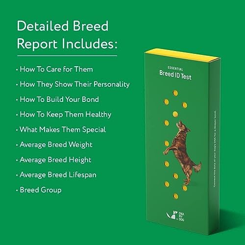 2024 Dna My Dog Essential Test – Breed ID Test Mixed Breed Identification  Personality Traits  for Puppies to Adult Dogs  Non-Invasive Cheek Swab