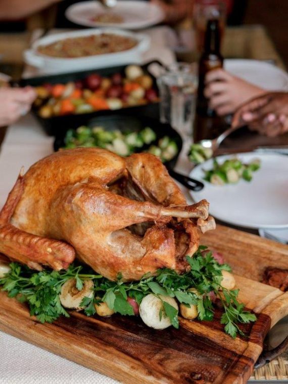 2024 Masterbuilt 10 Liter XL Electric Fryer, Boiler, Steamer in Silver