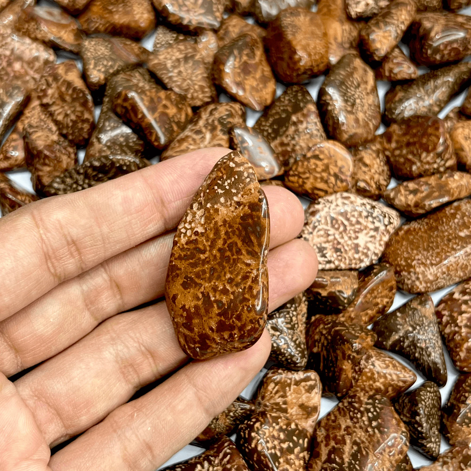 Jasper Star Tumbled Stone