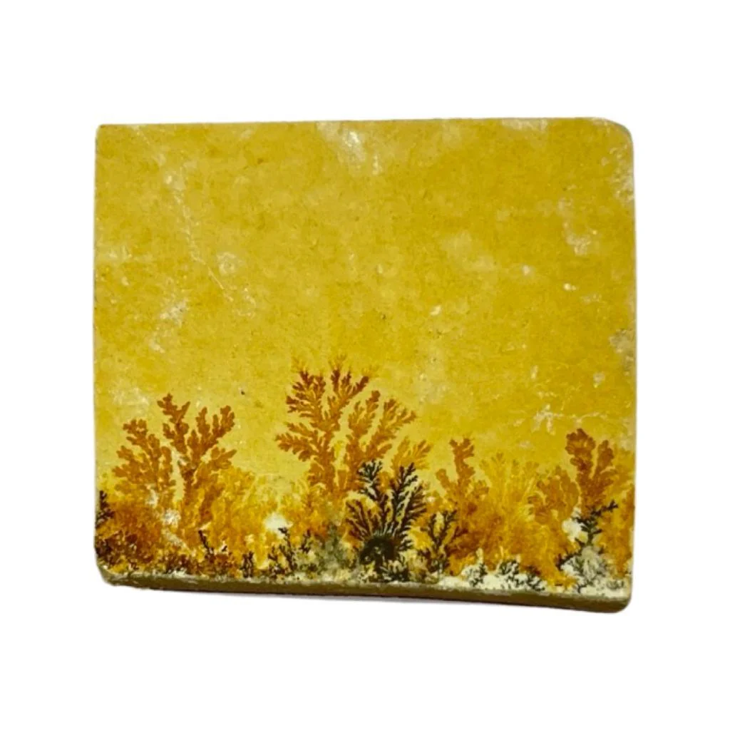 Limestone in India - Aeora Rocks