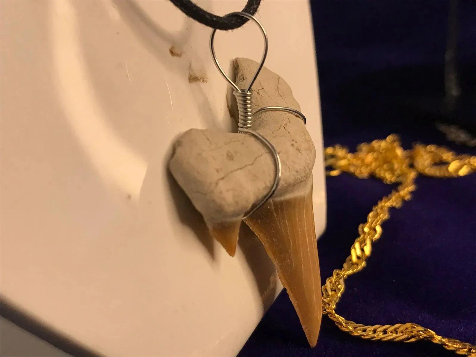 Shark Tooth Pendant