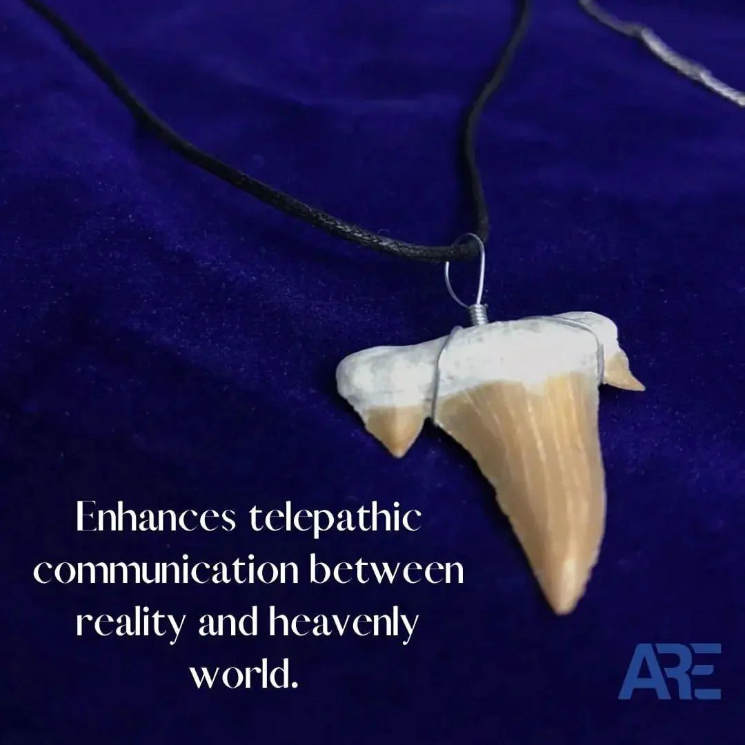 Shark Tooth Pendant