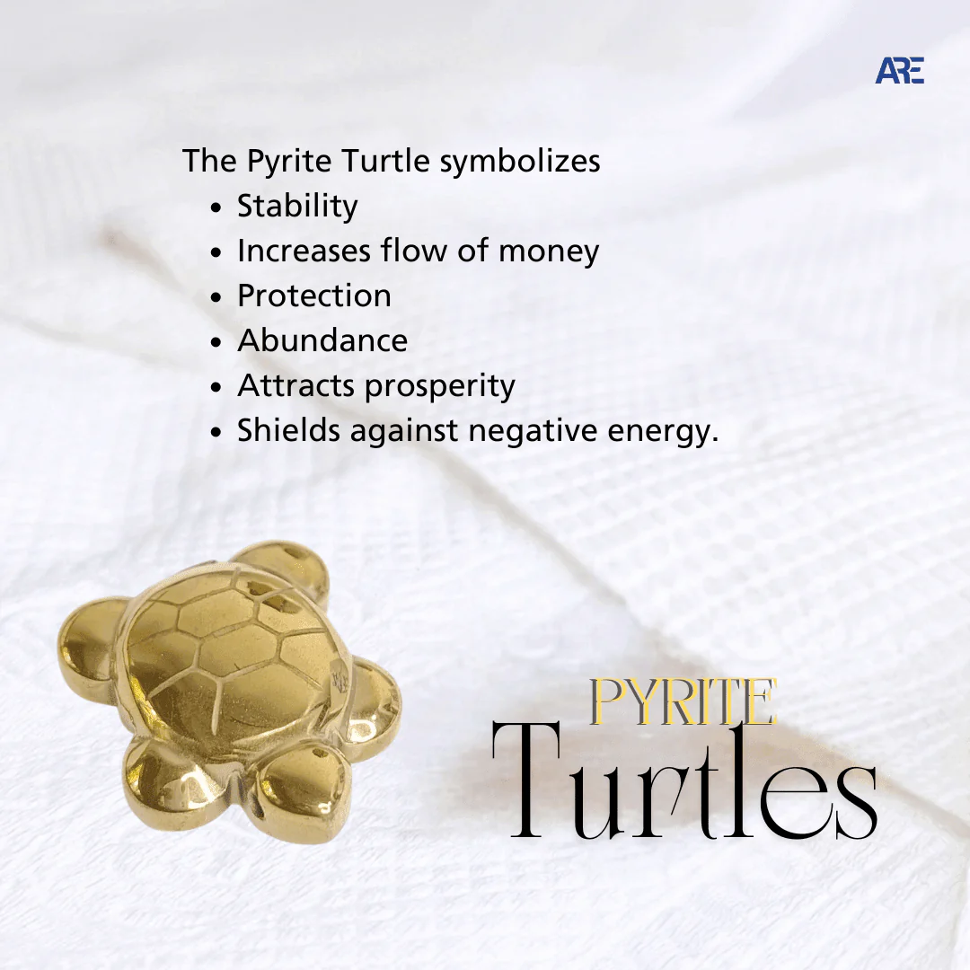 Pyrite Turtle in India - Aeora Rocks