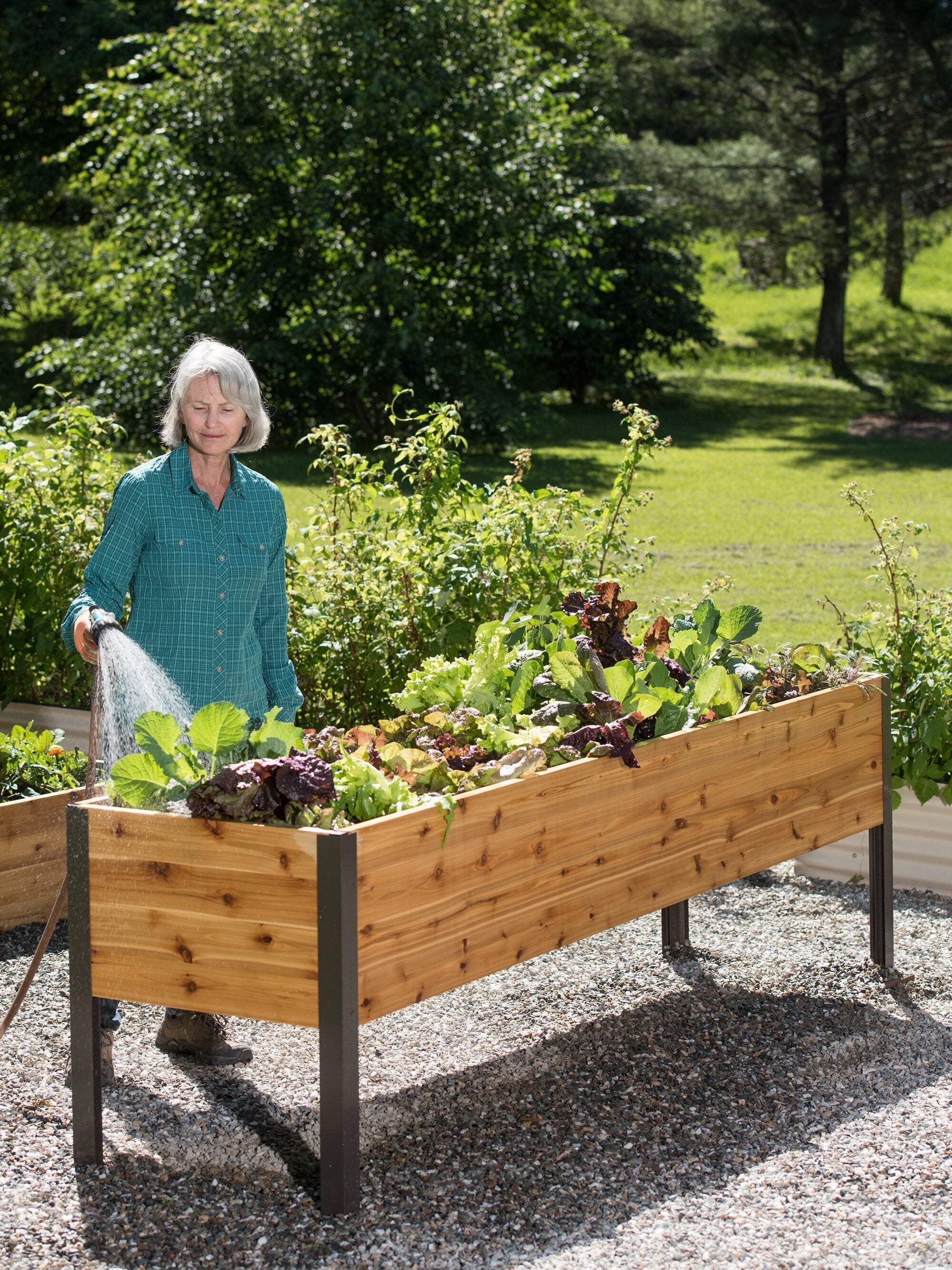 EcoStained Self-Watering Raised Planter Box with Aluminum Legs, Cedar/Cypress, 96 x24 x29