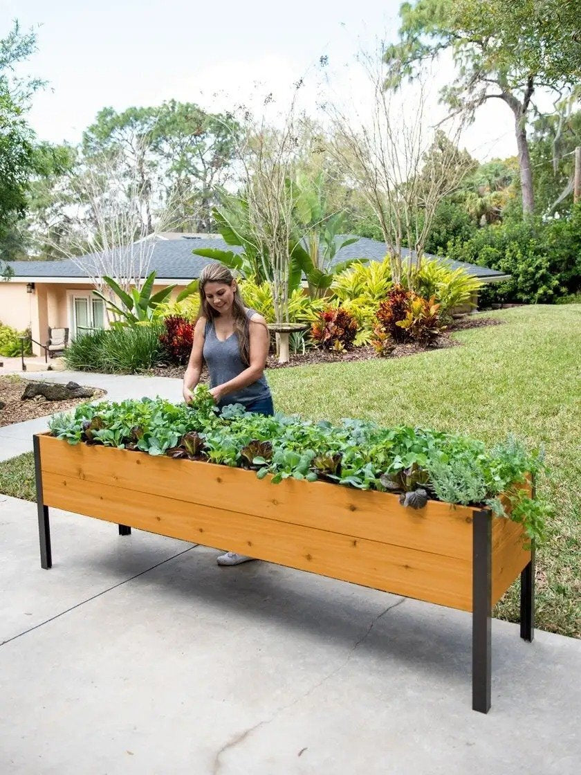 EcoStained Self-Watering Raised Planter Box with Aluminum Legs, Cedar/Cypress, 96 x24 x29