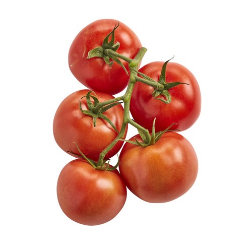 Tomaten am Stiel – Frisch und aromatisch
