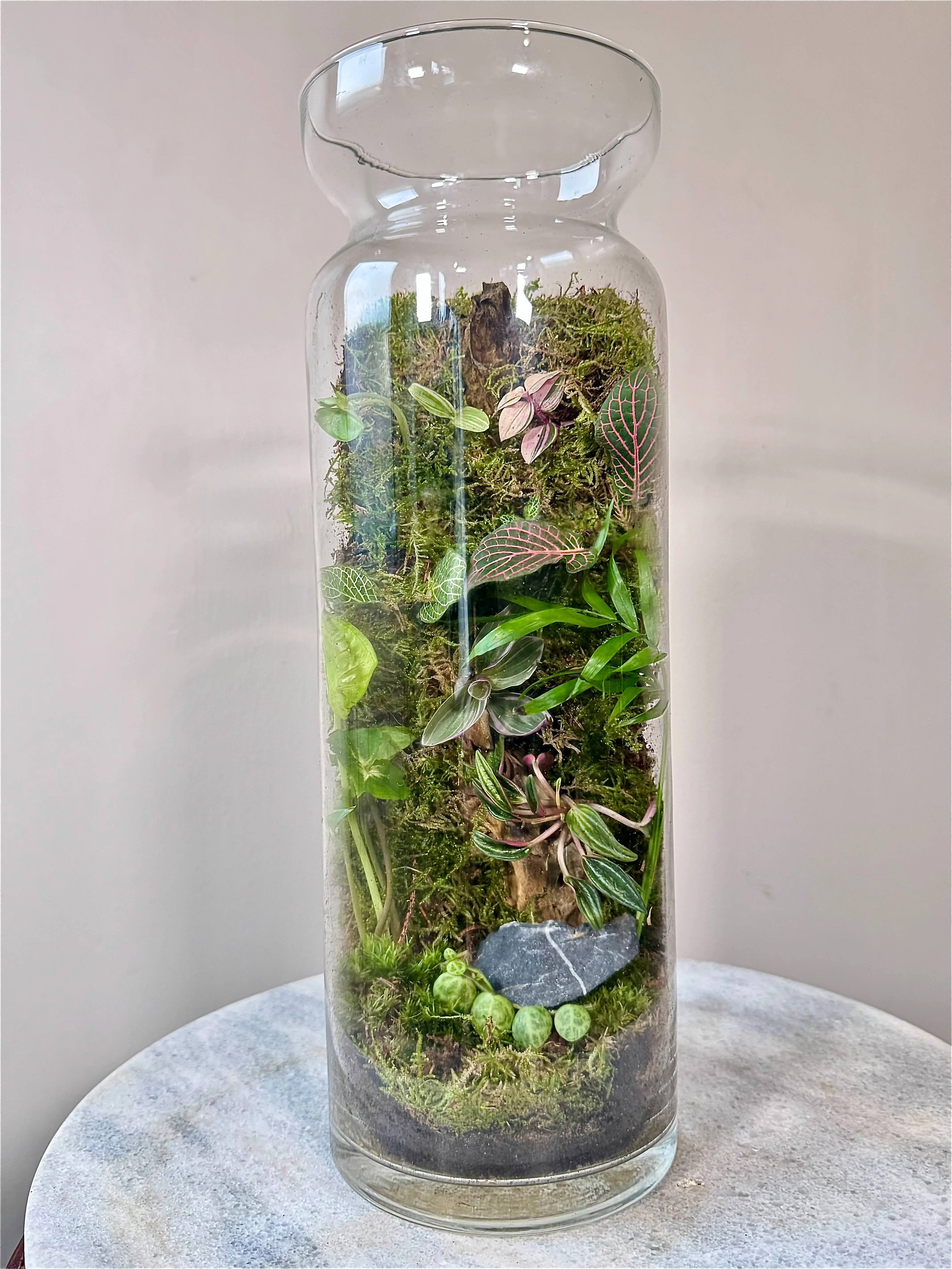 Tall Glass Moss Terrarium