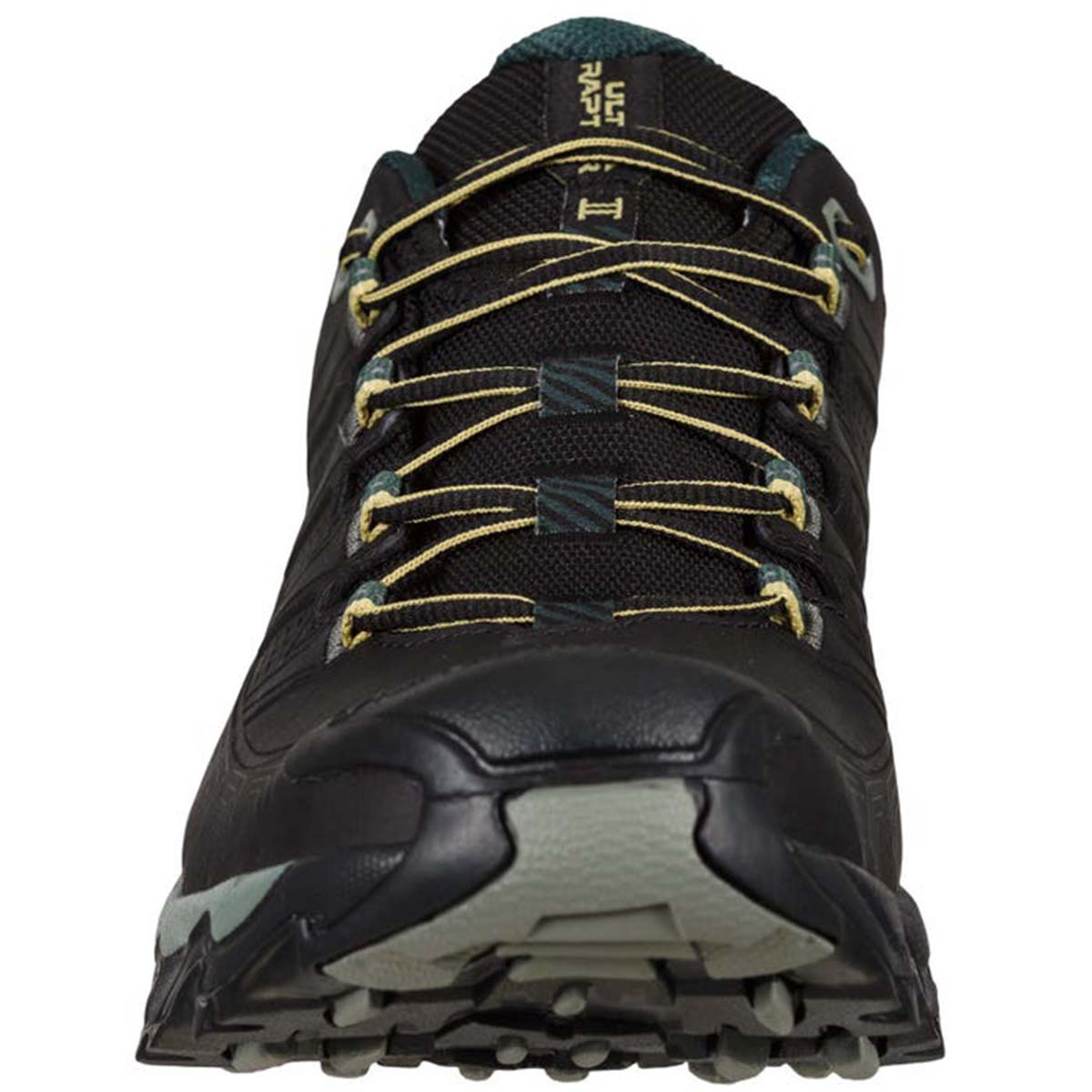 Ultra Raptor II Leather GTX Mens Hiking Shoes Black