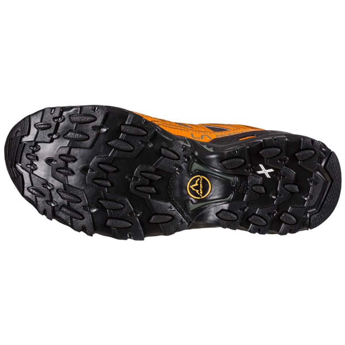 Ultra Raptor II GTX Mens Hiking Shoes Orange