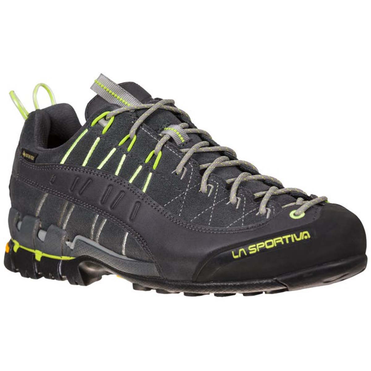 Hyper GTX Mens Approach Shoes Grey