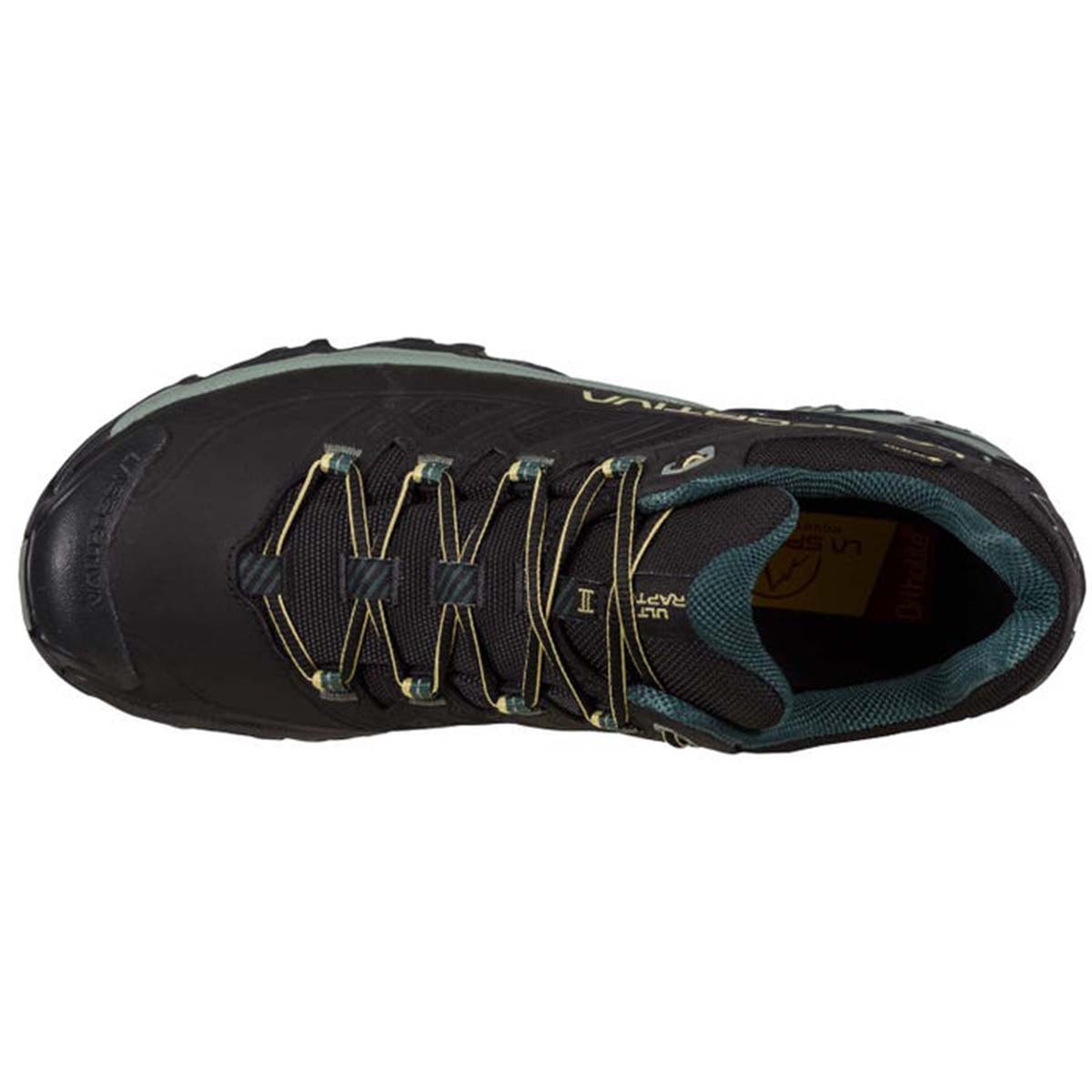 Ultra Raptor II Leather GTX Mens Hiking Shoes Black