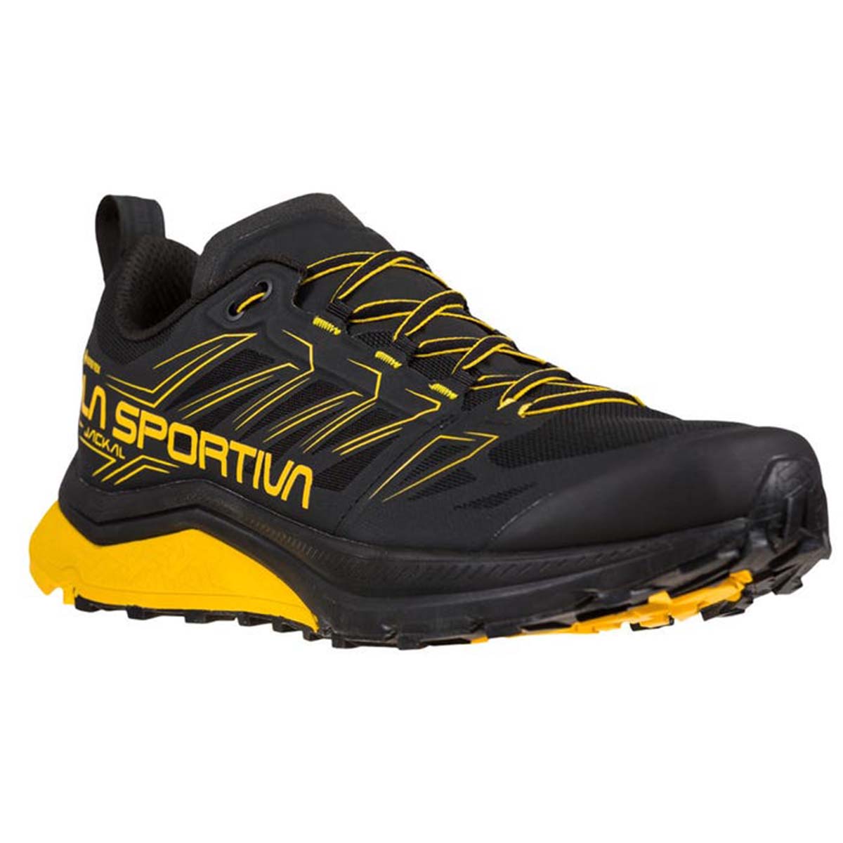 Jackal GTX Mens Trail Running Shoes Black